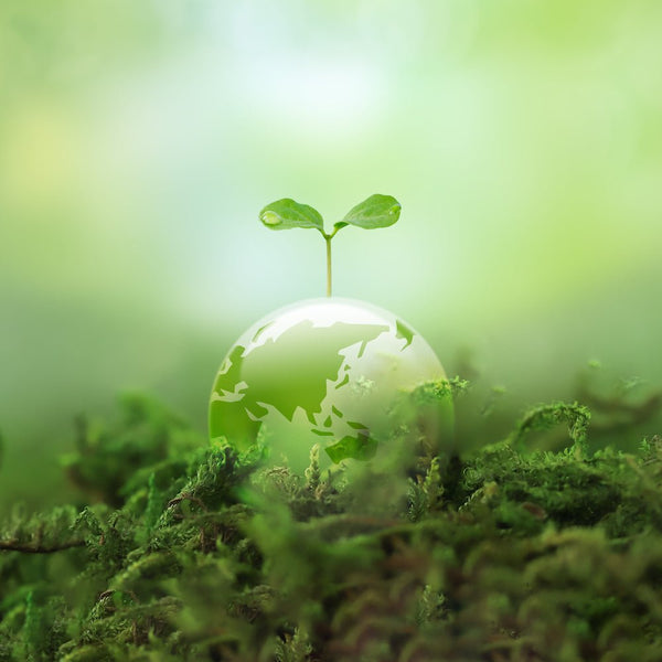 環境問題に取り組むヘアケアブランドをチェックしよう