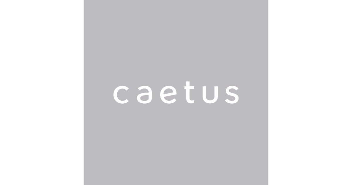 caetus-logo | カエタステクノロジー