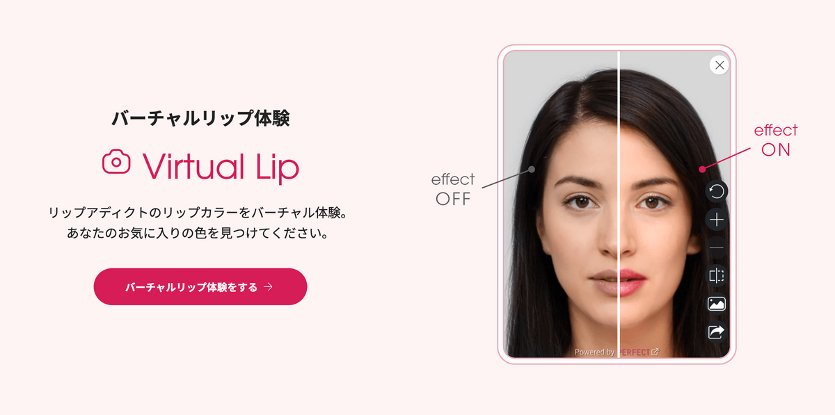 リップアディクトに関連する画像