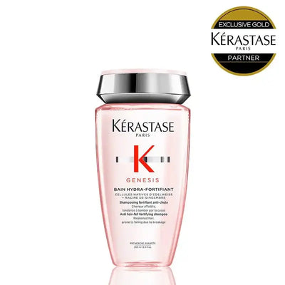 GN バン イドラ フォーティファイ