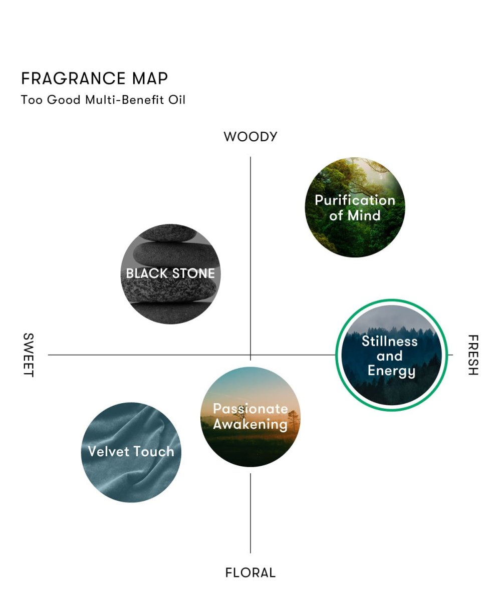 シンピュルテ トゥーグッド トゥーグッド マルチベネフィットオイル / Black Stone(新たな自由への道を照らす) - アルバム オンラインストア