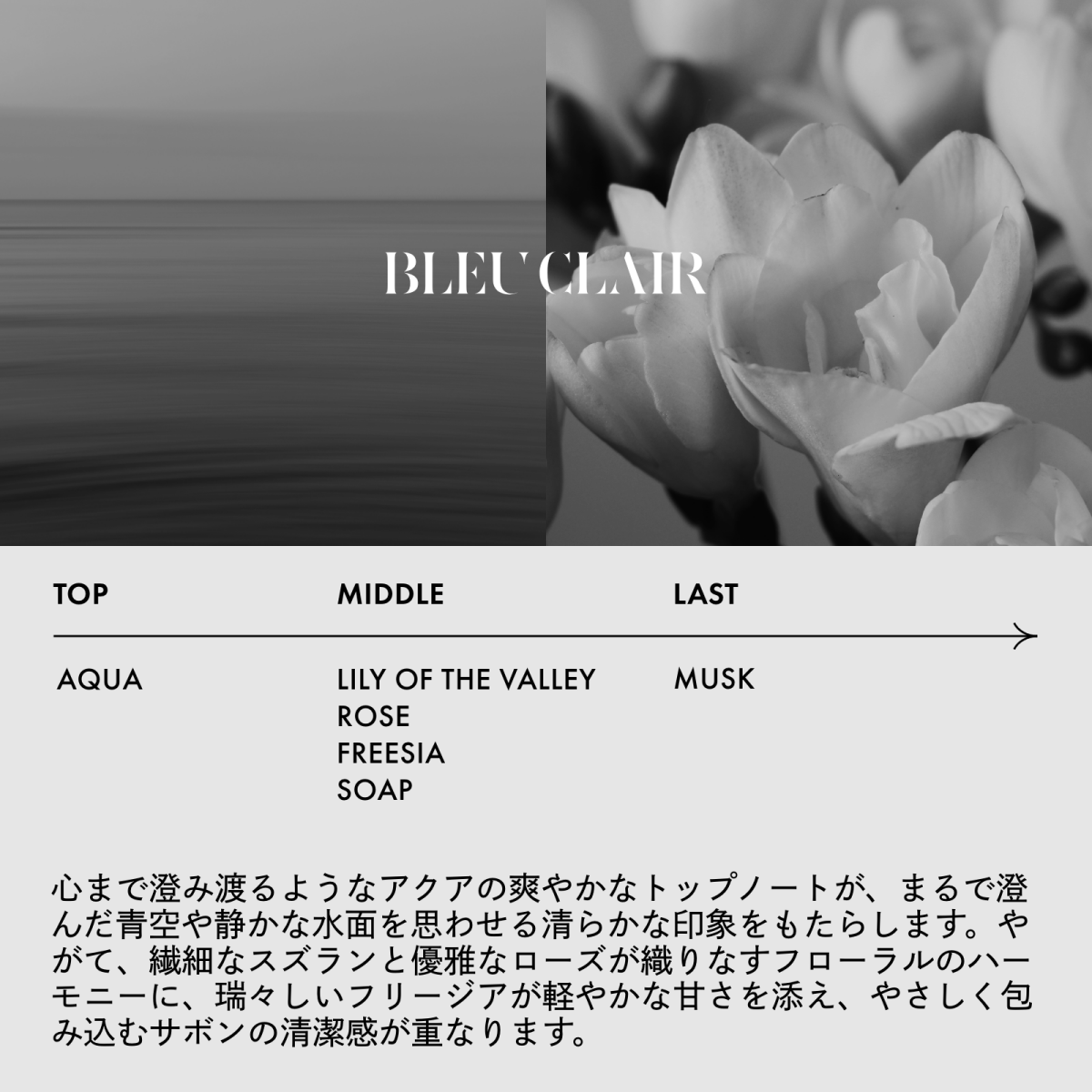 ジェイドジャパン【選べる香り】LOA THE OIL(ロア ザ オイル)100mlスタイリング - アルバム オンラインストア