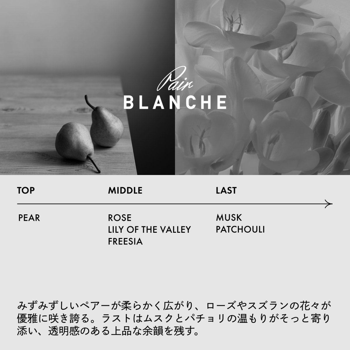 ジェイドジャパン【選べる香り】LOA THE OIL(ロア ザ オイル)100mlスタイリング - アルバム オンラインストア