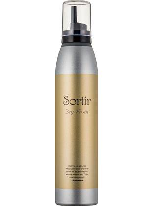 ソルティール ドライ フォーム