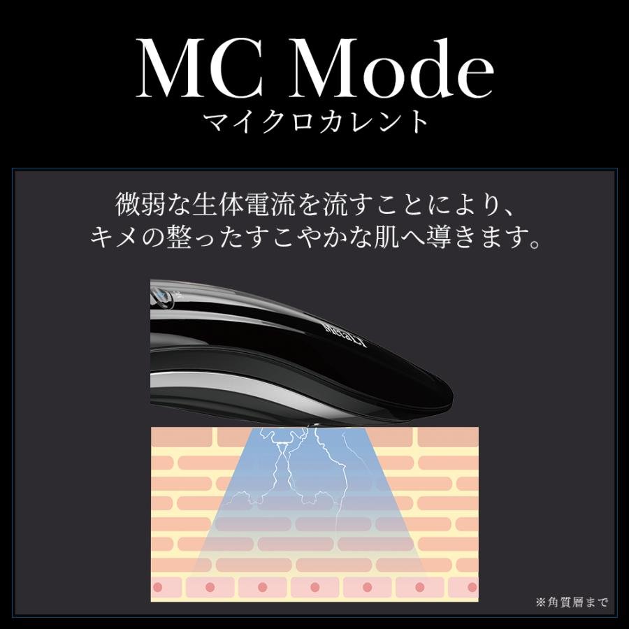 ウイルエーメタエルティー美顔器 - アルバム オンラインストア