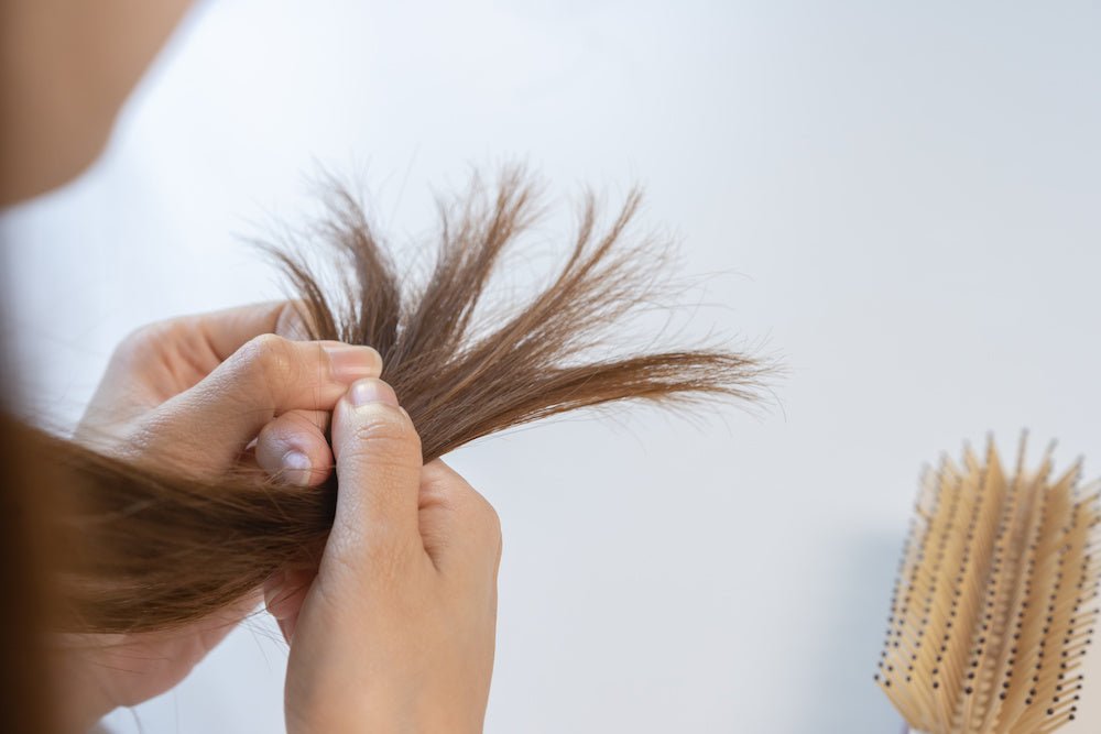 花粉が髪の毛に与える影響とは？パサパサする時に最適なヘアケア方法 - アルバム オンラインストア