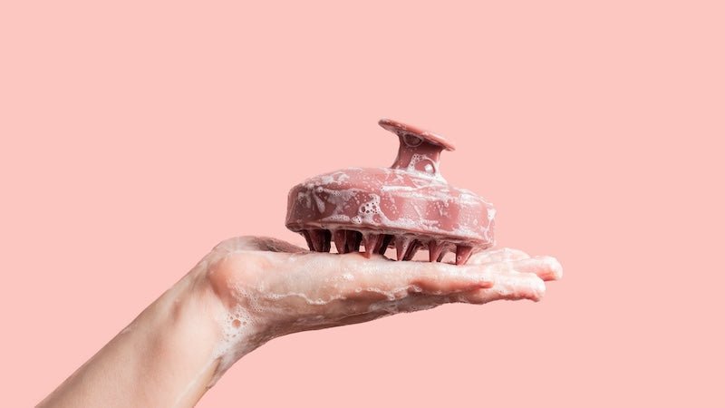 【頭皮ケア】地肌をスッキリさせたい方必見！おすすめシャンプーブラシを紹介 - アルバム オンラインストア