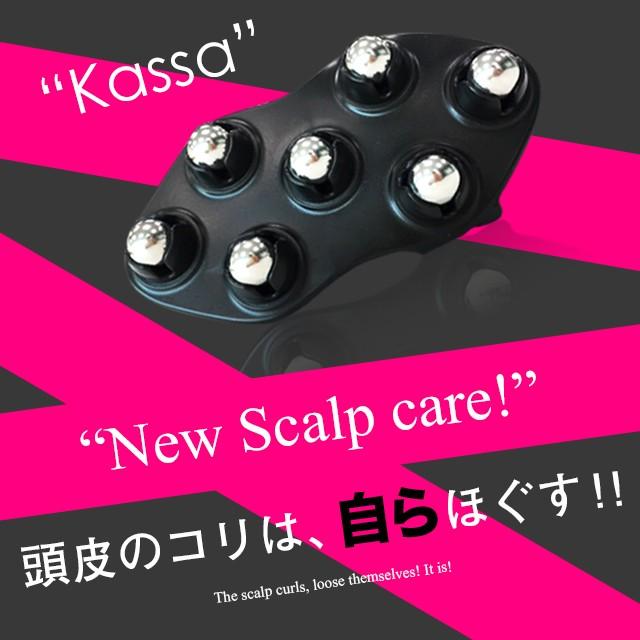 自宅で本格ケア！ハホニコプロ【トルマリンローラー】魅力と使い方を徹底解説 - アルバム オンラインストア