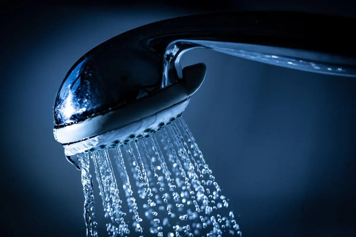 シャワーヘッド - アルバム オンラインストア