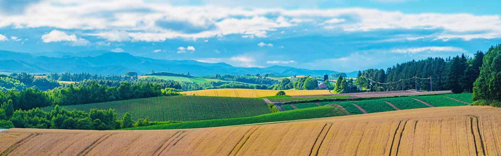 北海道ナチュラルバイオグループ - アルバム オンラインストア