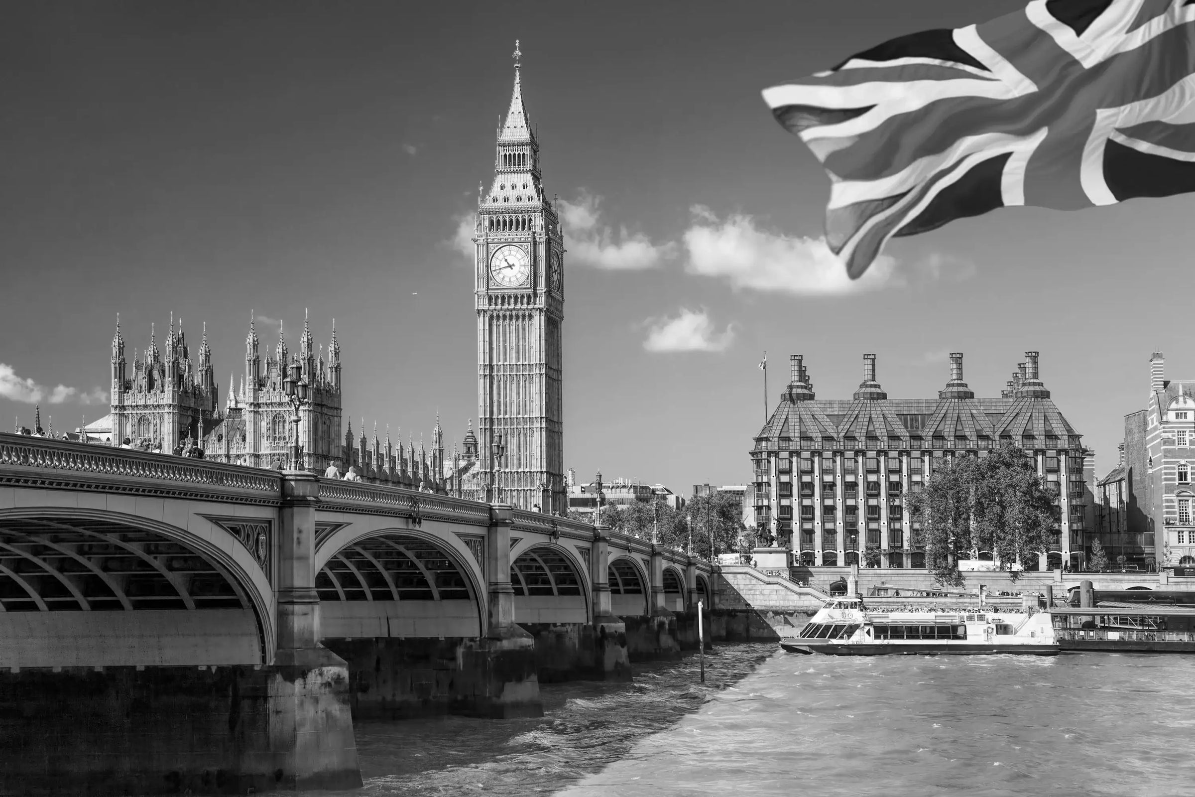 タングルティーザー社 - アルバム オンラインストア