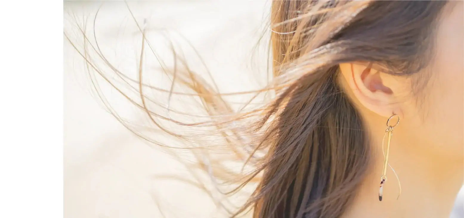 ハホニコプロ - アルバム オンラインストア