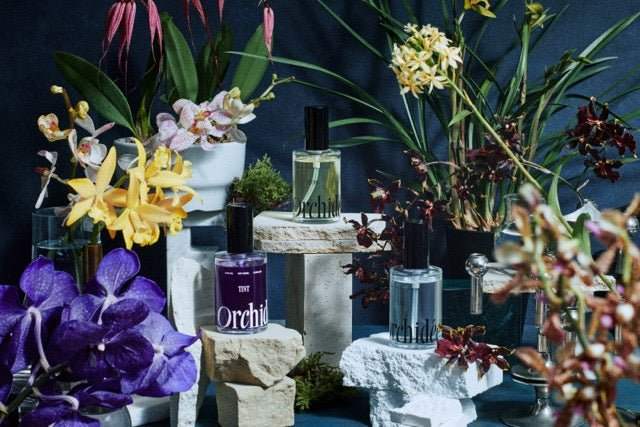 メゾンオルキデ - アルバム オンラインストア