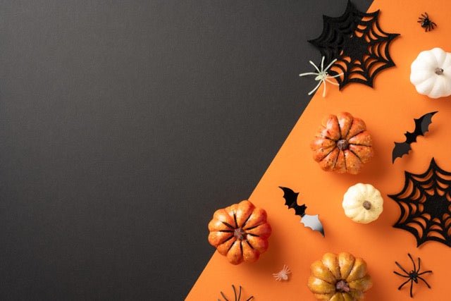 ハロウィンキャンペーン 対象商品🎃 - アルバム オンラインストア