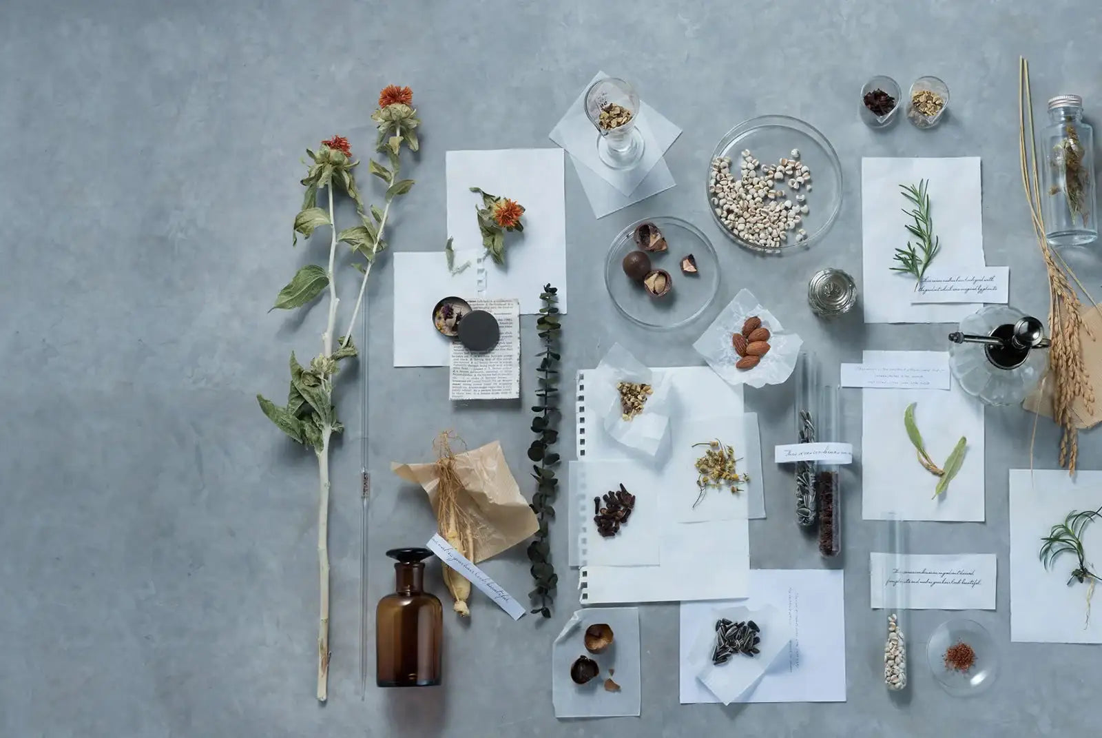 サンコール - アルバム オンラインストア