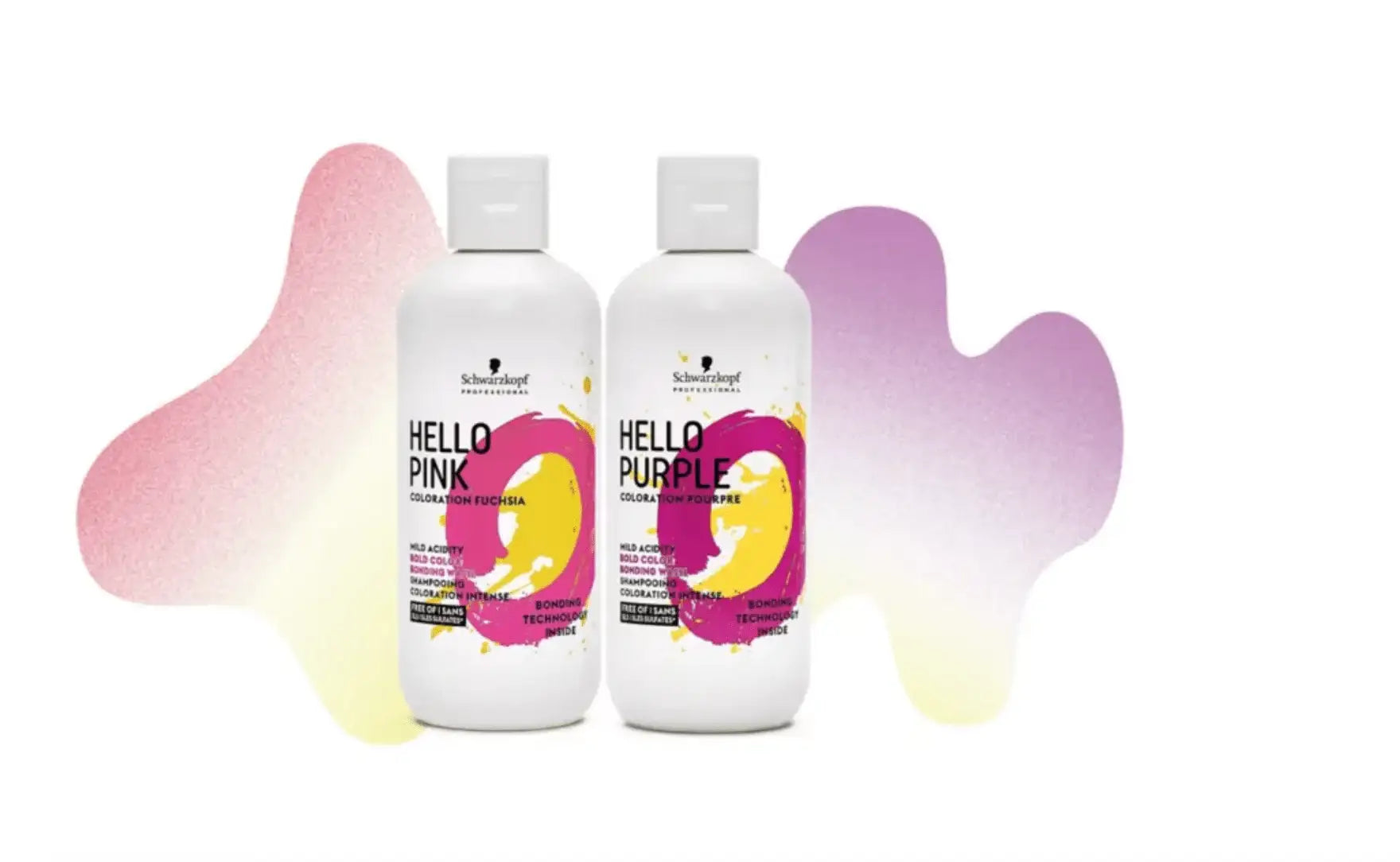 ハローピンク/パープル - アルバム オンラインストア