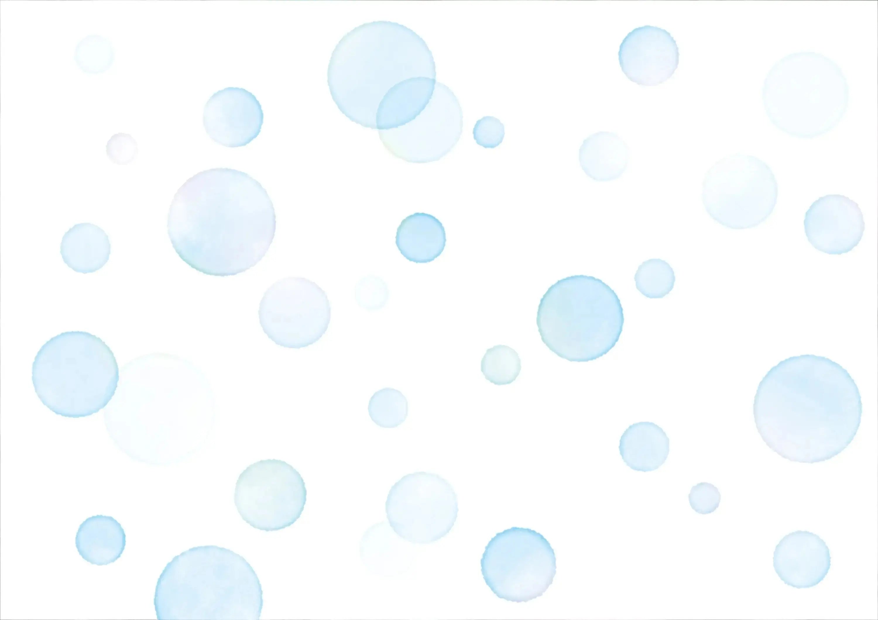 ボンドビタ - アルバム オンラインストア