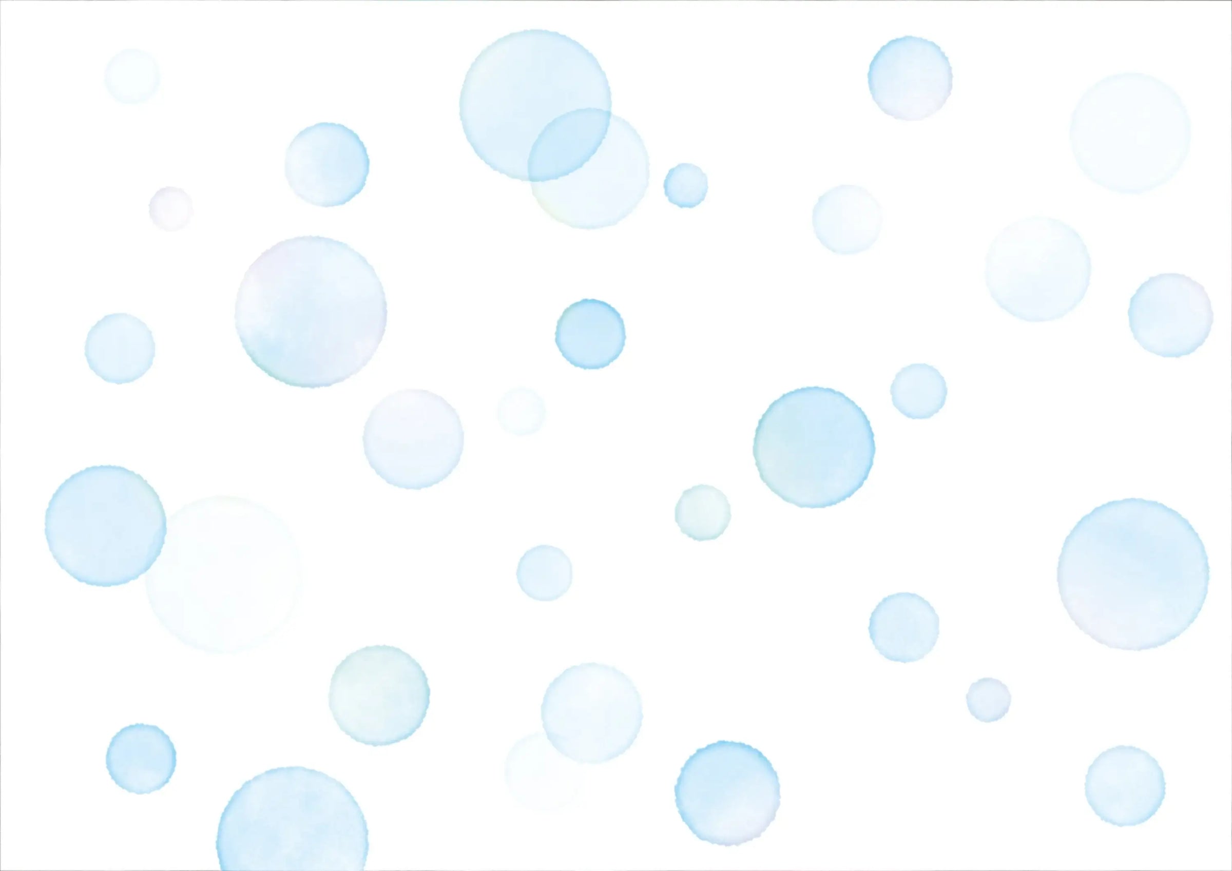 ボンドビタ - アルバム オンラインストア