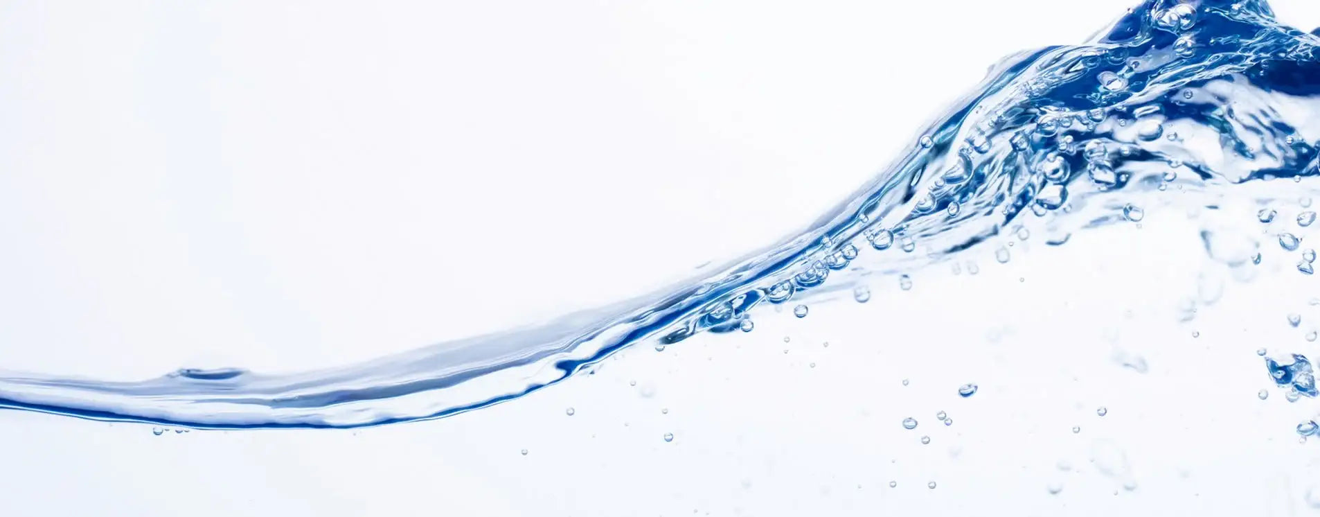 パイウェイ - アルバム オンラインストア