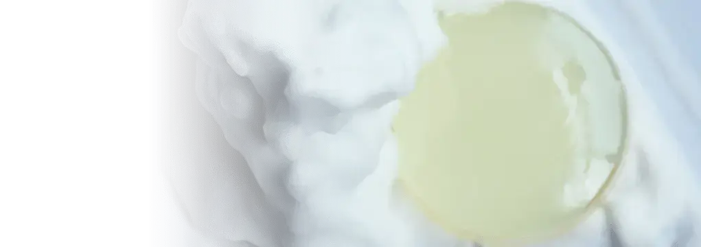 原末石鹸 - アルバム オンラインストア