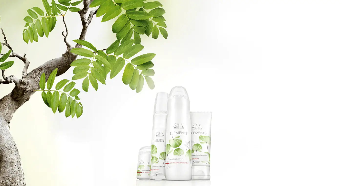 エレメンツ - アルバム オンラインストア