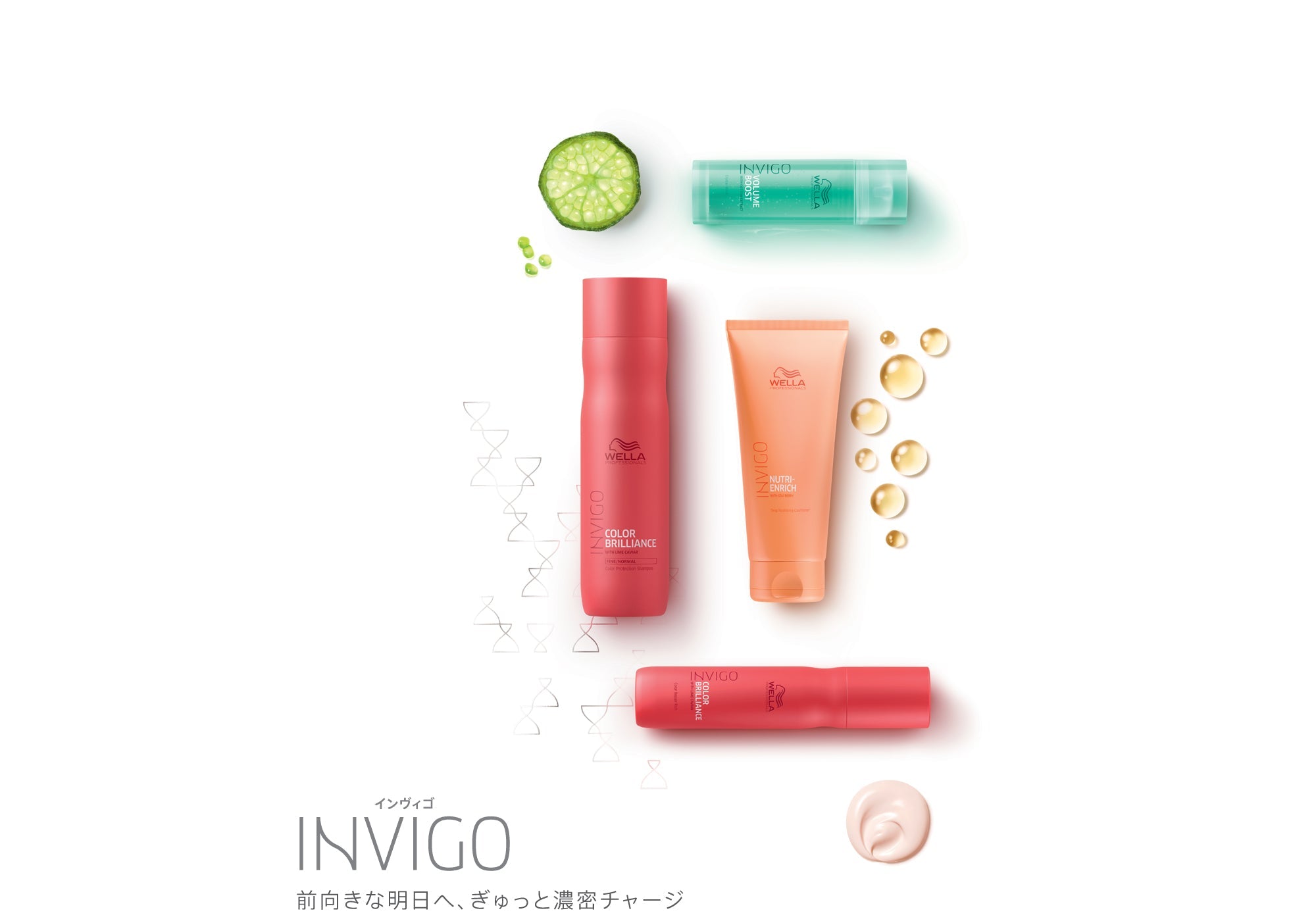 インヴィゴ - アルバム オンラインストア