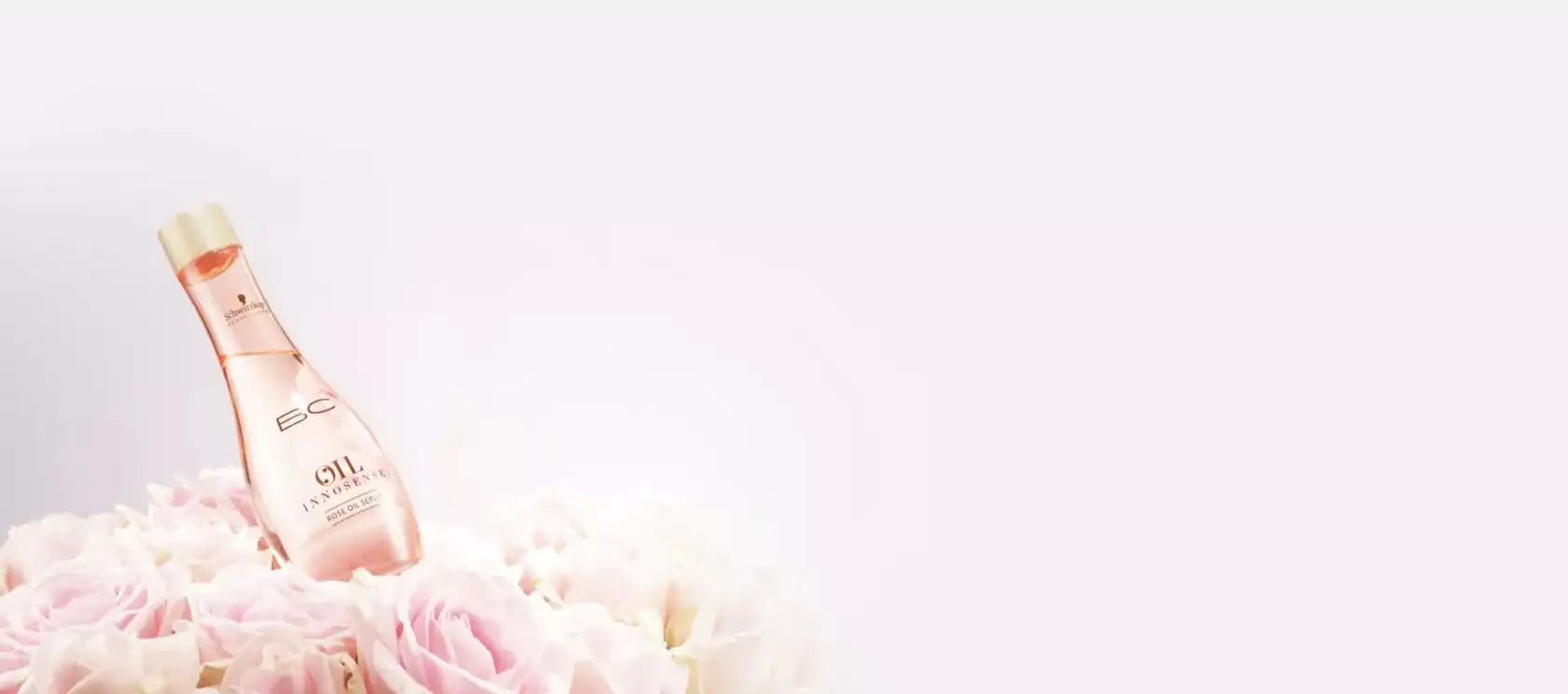 ビーシー オイルイノセンス ローズ - アルバム オンラインストア