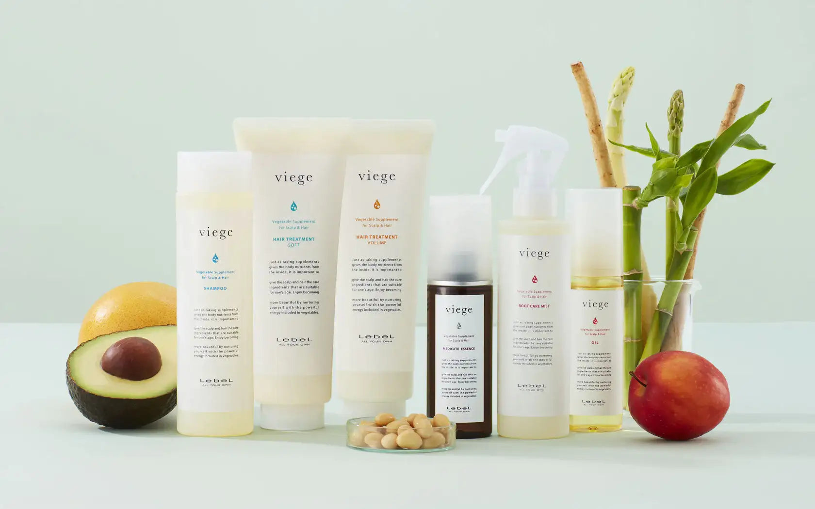 ヴィージェ - アルバム オンラインストア