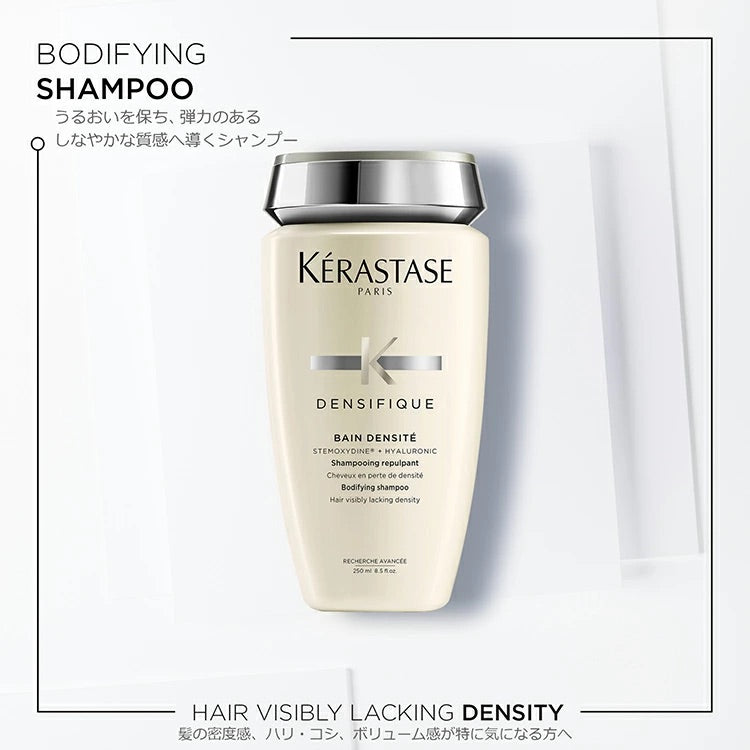 DS  バン デンシフィック 500ml (レフィル)