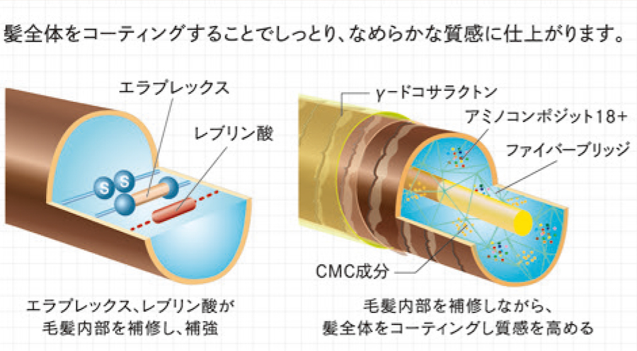 フェルエ モル
