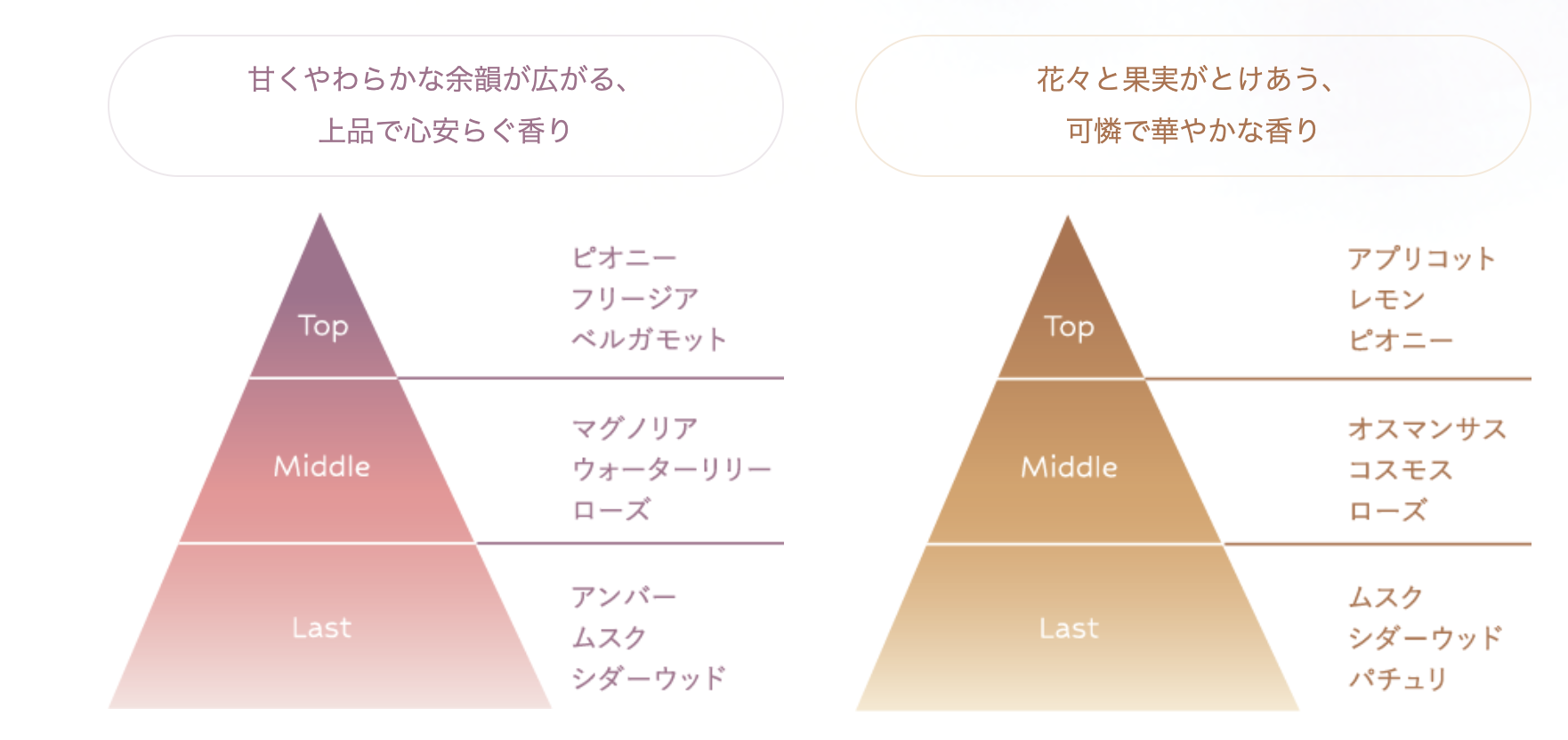 ネイ
