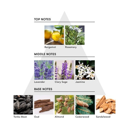 ヘア オイルミルク / THE SECRET HISTORY