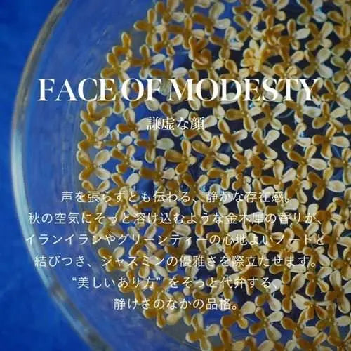 アナイスカンパニーヘア オイルミルク / FACE OF MODESTY（謙虚な顔）洗い流さないトリートメント - アルバム オンラインストア