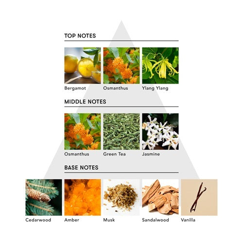 ヘア オイルミルク / FACE OF MODESTY（謙虚な顔）