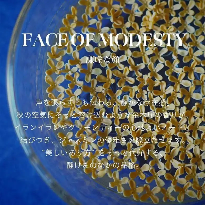 アナイスカンパニーマインドフル アンビエントインセンス / FACE OF MODESTY日用品・その他 - アルバム オンラインストア