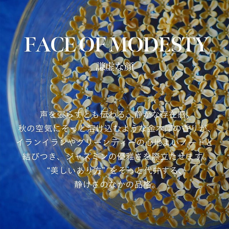 アナイスカンパニーマインドフル リード ディフューザー / FACE OF MODESTY日用品・その他 - アルバム オンラインストア