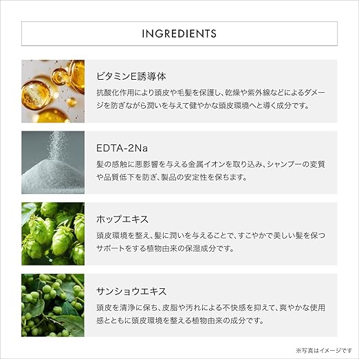 資生堂プロフェッショナルフェンテフォルテ シャンプースカルプケア・育毛剤 - アルバム オンラインストア
