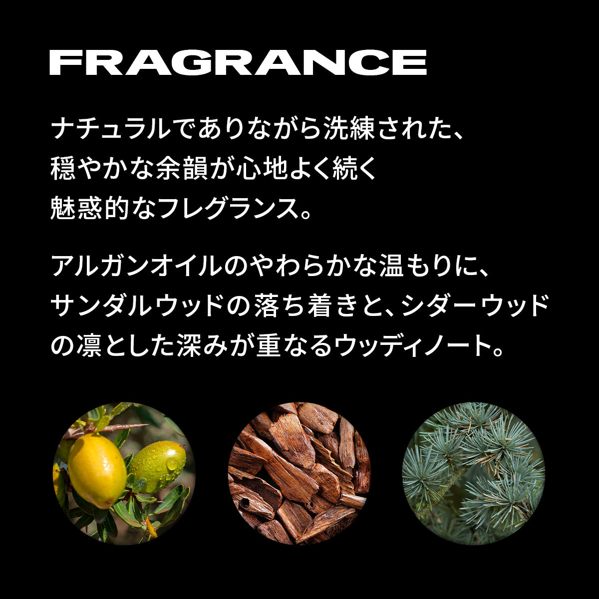 正規販売店】セバスティアン・プロフェッショナル ダークオイル