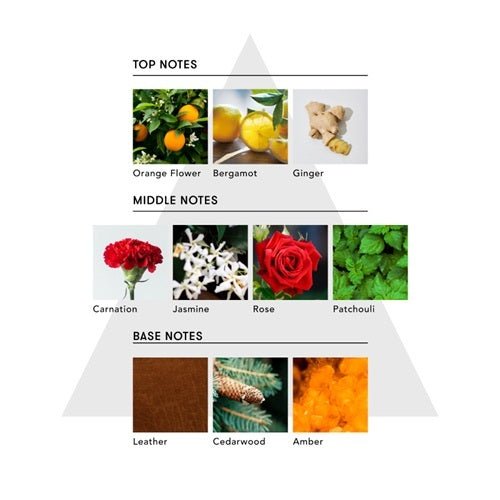 アナイスカンパニーマインドフル シャンプー / LOVE UNLOCK 詰替 400mlシャンプー - アルバム オンラインストア