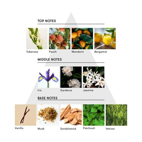 アナイスカンパニーマインドフル トリートメント モイスチャー / OVER THE MOON 400g 詰替トリートメント - アルバム オンラインストア