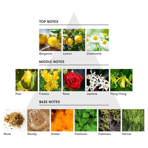 アナイスカンパニーマインドフル リード ディフューザー / REST OF MIND日用品・その他 - アルバム オンラインストア