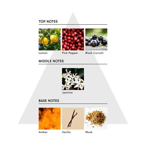 アナイスカンパニーマインドフル アンビエントインセンス / GASTRONOMY日用品・その他 - アルバム オンラインストア