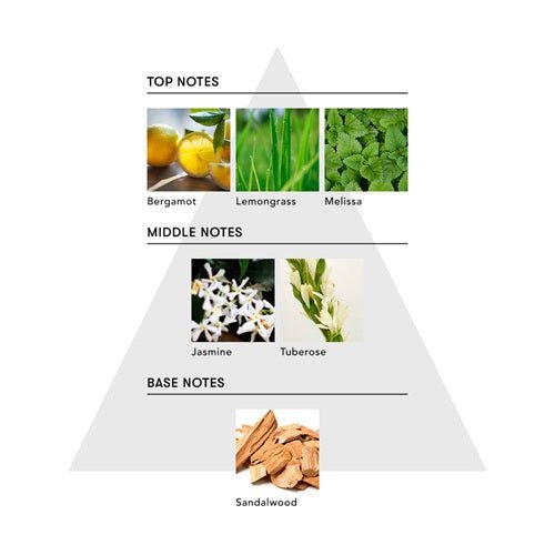 アナイスカンパニーマインドフル アンビエントインセンス /THE EVIL EYE日用品・その他 - アルバム オンラインストア