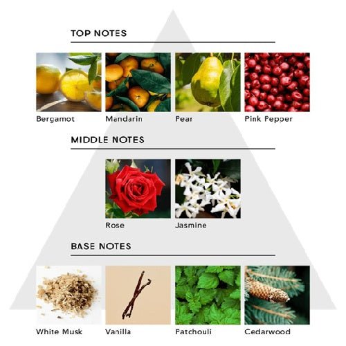 アナイスカンパニーマインドフル アンビエントインセンス / DREAM CATCHER（夢守り）日用品・その他 - アルバム オンラインストア