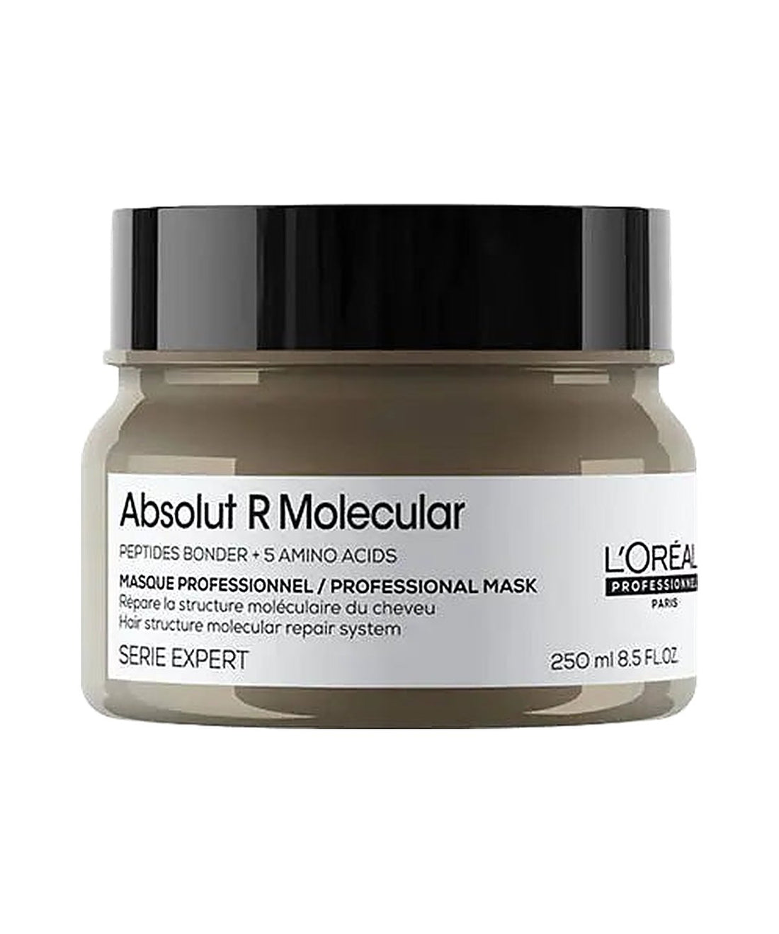 アブソルート R モレキュラー プロフェッショナル マスク 250g