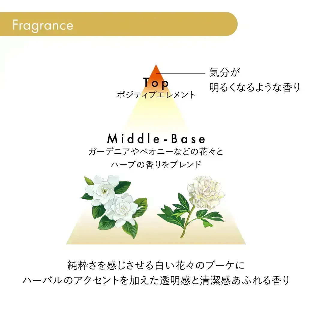 アクアインテンシブ シャンプー | サブリミック