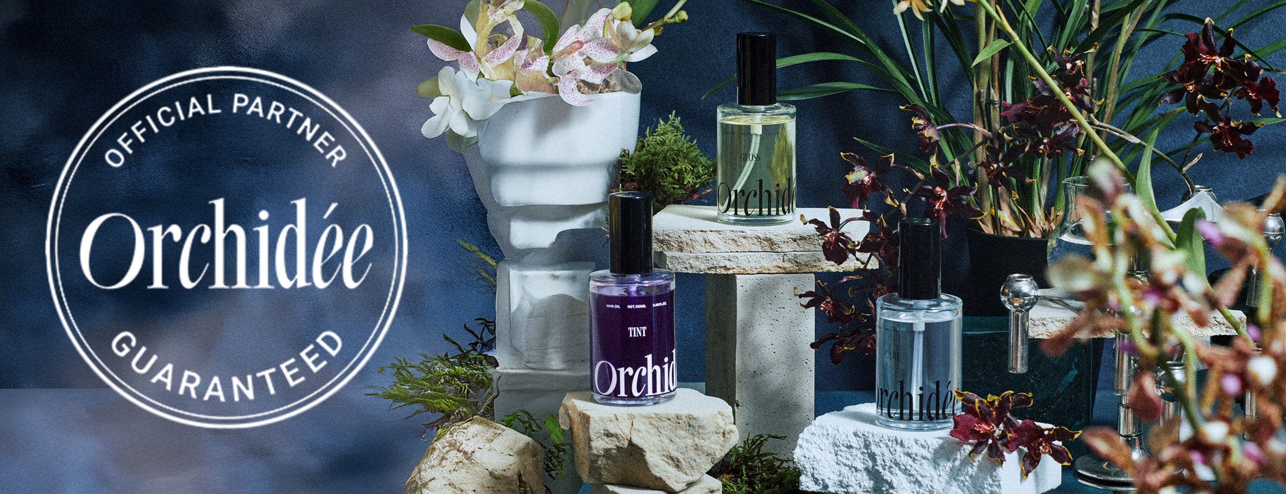 メゾンオルキデ