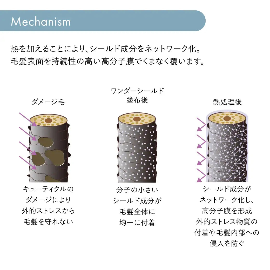 ワンダーシールド ｜サブリミック