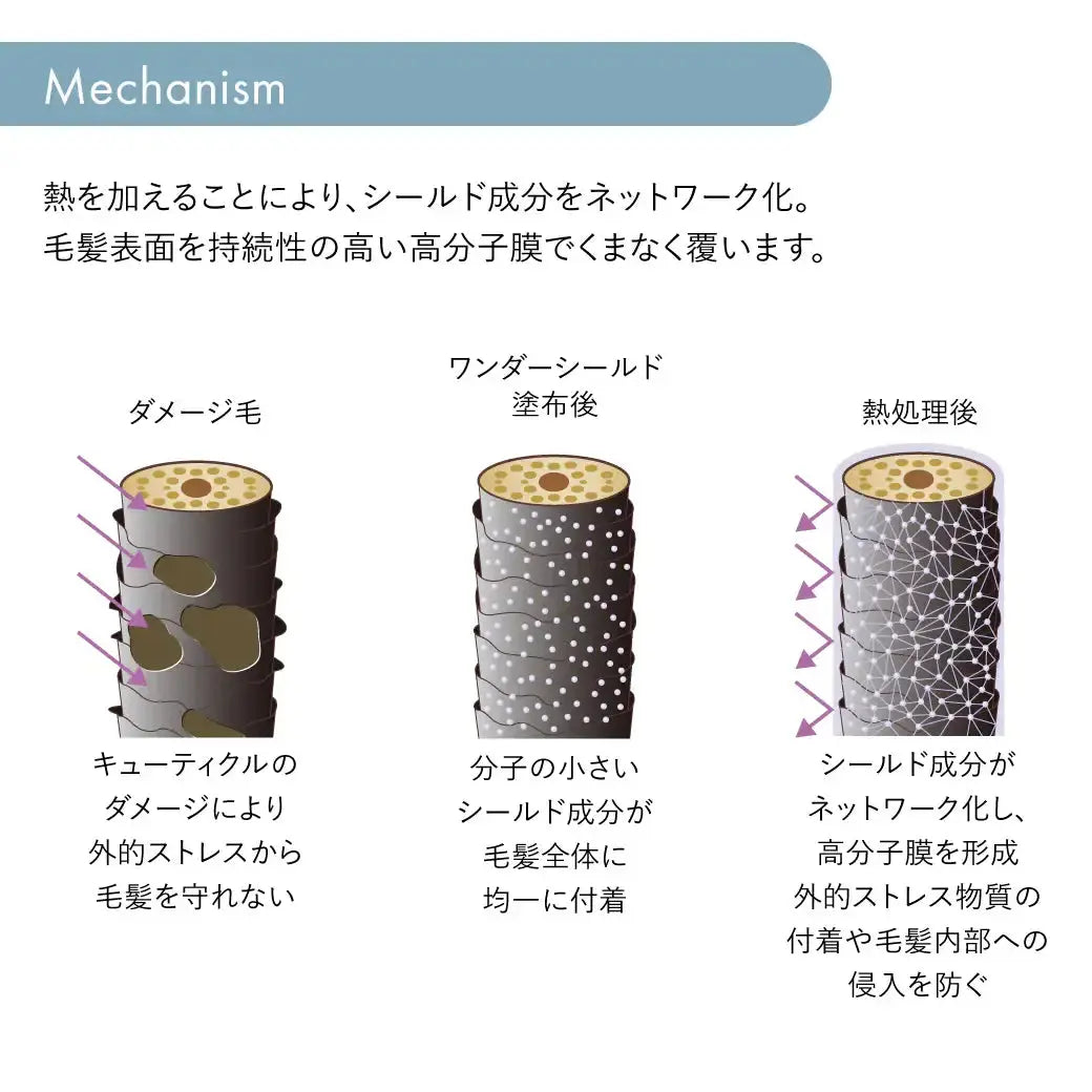ワンダーシールド ｜サブリミック 資生堂プロフェッショナル