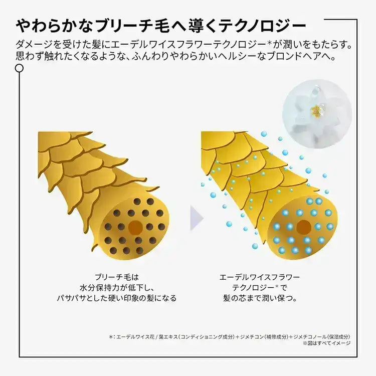 日本ロレアルBL ユイル シカエクストリーム R 30ml〜洗い流さないトリートメント - アルバム オンラインストア